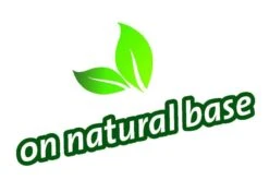 Topbuxus Buxus Health Mix -Tuinen Speciaal Winkel 1200x803 7