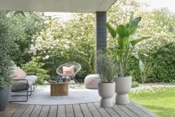 Elho Pure Coupe 41 - Bloempot Voor Binnen & Buiten - Ø 41.3 X H 57.9 Cm - Beige/Balanced Beige -Tuinen Speciaal Winkel 1200x808