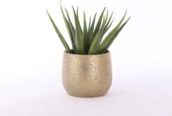 Mica Decorations Clemente Bloempot - H31 X Ø38 Cm - Terracotta - Goud -Tuinen Speciaal Winkel 1200x813 3