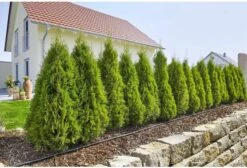 GARDENA Micro Drip System Startset L Druppelsysteem - 50 Meter -Tuinen Speciaal Winkel 1200x814 1