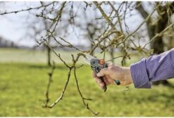 GARDENA - ExpertCut - Snoeischaar - 22 Diameter Tak 34 GARDENA - ExpertCut - Snoeischaar - 22 Diameter Tak -Tuinen Speciaal Winkel 1200x815 5