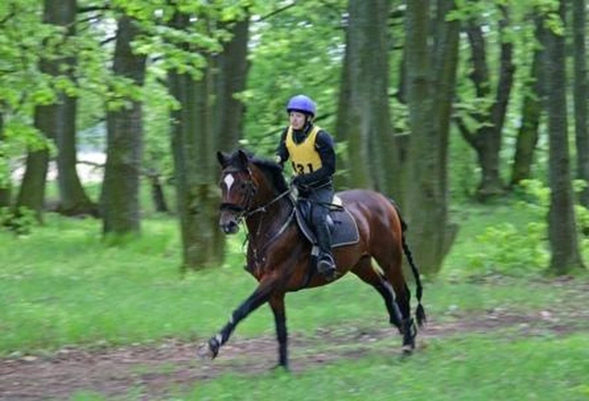 Aqua2Go GD86 Staand Electrische Pressure Washer - 20 Liter Tank - Afneembare Pomp 22 Aqua2Go GD86 Staand Electrische Pressure Washer - 20 Liter Tank - Afneembare Pomp - Afbeelding 20