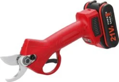 Elektrische Snoeischaar - Accu Snoeischaar - 2 Accu's - Professioneel - Tuinschaar -Tuinen Speciaal Winkel 1200x819 2