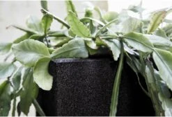 Capi Europe - Bloempot Vierkant Smooth NL - 40x40x40 - Zwart - Voor Binnen En Buiten - KBL903 -Tuinen Speciaal Winkel 1200x820 1