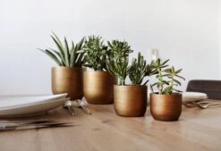 Capi Europe - Set Van 4 - Bloempot Binnen - Retro - - Goud - Bloempot Voor Binnen - BOX-BRTG-4 -Tuinen Speciaal Winkel 1200x820
