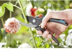 GARDENA Comfort B/M Bypass Snoeischaar - Ø 24mm - Met Sapgeul -Tuinen Speciaal Winkel 1200x822 1