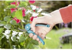 GARDENA - Classic B/S-M Bypass Snoeischaar - Ø 22mm - 25 Jaar Garantie -Tuinen Speciaal Winkel 1200x825 24