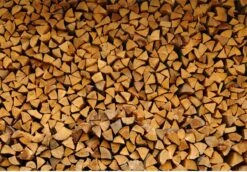 Steko Houtsplijter Voor Grote Blokken - Voor Aanmaakhout & Brandhout - Houtklover - Houtkliever - Splijtwig - Handmatig - Overal Te Gebruiken 1605 Gram - Metaal - Kloofwig - HOGE VOLUMEKORTING -Tuinen Speciaal Winkel 1200x837 3