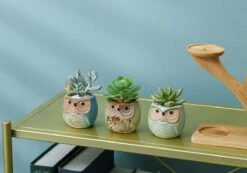 Luxe Bamboe Houten Boom Met 3 Keramiek Uil Bloempotten/Plantenpotten Op Standaard/Voet Voor Binnen En Buiten - Modern Design Bloempot/Plantenpot Op Poten/Pootjes-Plantenbak Mini Cactus Nep Plant Pot Houder - Kleine Bloembakken Plantenrek/Plantenkurk -Tuinen Speciaal Winkel 1200x840 3