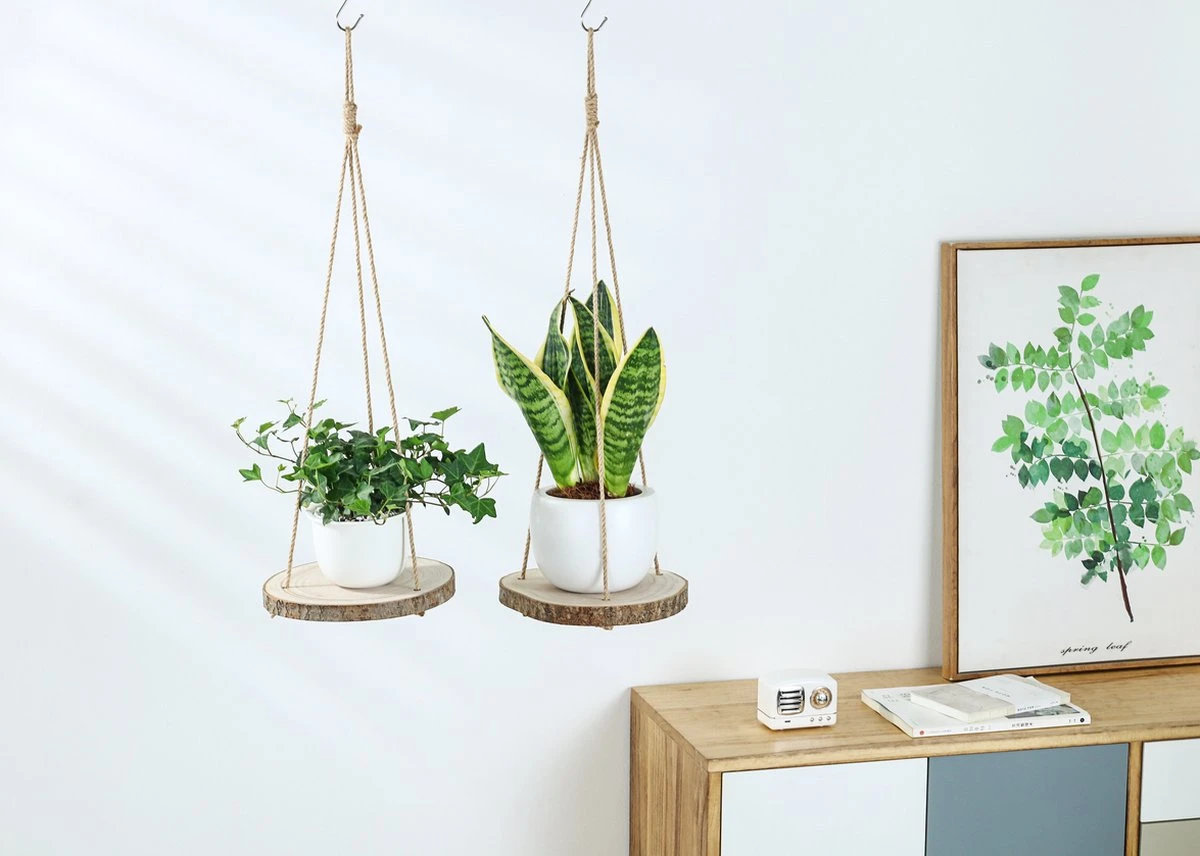 Set Van 2 Boomstam Rond Wandrek Plantenhangers - Boho Jute Houten Plantenrek - Hangpot Voor Binnen/Buiten - Hangende Bloempot Plank - Hangplant Houder - Bohemian Macrame Stijl Wandhanger - Hangplank Plant Hanger - Planthanger - Ø Rond 25-20cm 8 Set Van 2 Boomstam Rond Wandrek Plantenhangers - Boho Jute Houten Plantenrek - Hangpot Voor Binnen/Buiten - Hangende Bloempot Plank - Hangplant Houder - Bohemian Macrame Stijl Wandhanger - Hangplank Plant Hanger - Planthanger - Ø Rond 25-20cm - Afbeelding 6