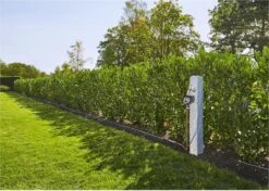 GARDENA - Besproeiingscomputer Flex - Geen App Vereist -Tuinen Speciaal Winkel 1200x856