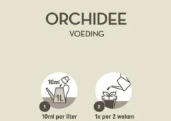 Pokon Orchidee Voeding - 250ml - Plantenvoeding - 10ml Per 1L Water -Tuinen Speciaal Winkel 1200x856 8