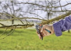 GARDENA - ExpertCut - Snoeischaar - 22 Diameter Tak 33 GARDENA - ExpertCut - Snoeischaar - 22 Diameter Tak -Tuinen Speciaal Winkel 1200x859 2