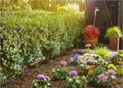 GARDENA Micro Drip System Startset S - Voor Rijplanten Druppelsysteem- 15 Meter -Tuinen Speciaal Winkel 1200x859