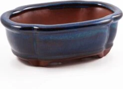 Happy Seed Keramieken Bonsai Pot (schaal) - Marine Blauw - Geglazuurd 10 Happy Seed Keramieken Bonsai Pot (schaal) - Marine Blauw - Geglazuurd -Tuinen Speciaal Winkel 1200x873