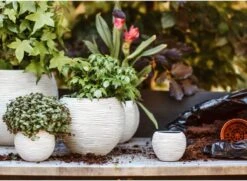 Capi Europe - Set Van 3 - Bloempot Binnen - Rib Ivoor -Tuinen Speciaal Winkel 1200x878 1