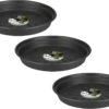 Elho Green Basics Schotel - Plantenschotels - 3 X 14 Cm Zwart 1 Elho Green Basics Schotel - Plantenschotels - 3 X 14 Cm Zwart -Tuinen Speciaal Winkel 1200x878 2