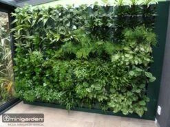 Minigarden Vertical Verticale Tuin - Zwart 10 Minigarden Vertical Verticale Tuin - Zwart -Tuinen Speciaal Winkel 1200x900 18