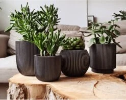 Capi Europe - Set Van 4 - Bloempot Binnen - Groove - Antraciet -Tuinen Speciaal Winkel 1200x953