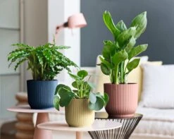 Elho Vibes Fold Rond 22 - Bloempot Voor Binnen - Ø 22.0 X H 20.2 Cm - Diepblauw 30 Elho Vibes Fold Rond 22 - Bloempot Voor Binnen - Ø 22.0 X H 20.2 Cm - Diepblauw -Tuinen Speciaal Winkel 1200x956 1