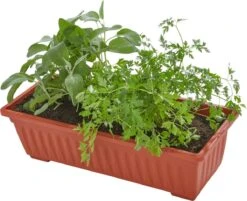 Tectake - Verticaal Plantenrek Met 4 Bakken - 403445 -Tuinen Speciaal Winkel 1200x975 2