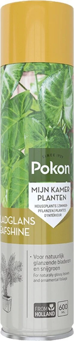 Pokon Bladglans 600ml -Tuinen Speciaal Winkel 262x1200 2