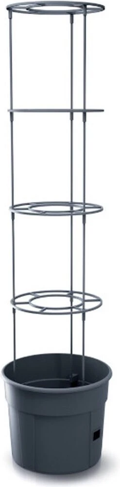 TOMATENPOT VOOR HET KWEKEN VAN TOMATEN PROSPERPLAST 28L -Tuinen Speciaal Winkel 297x1200