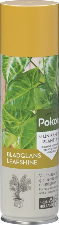 Pokon Bladglans 250ml -Tuinen Speciaal Winkel 316x1200