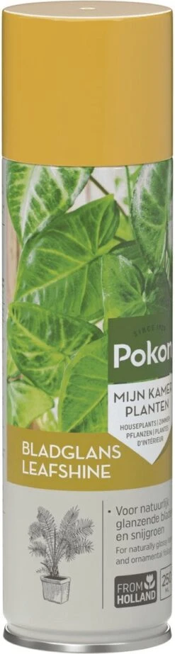 Pokon Bladglans 600ml -Tuinen Speciaal Winkel 321x1200 1
