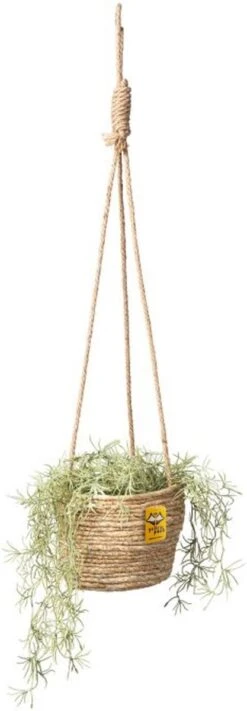 Merkloos Plantenhanger 18x15cm Naturel | Hangende Mand | Handgemaakt | Planten-houder / Hang-plant | Planten Accessoires | Hangmand 12 Merkloos Plantenhanger 18x15cm Naturel | Hangende Mand | Handgemaakt | Planten-houder / Hang-plant | Planten Accessoires | Hangmand -Tuinen Speciaal Winkel 417x1200 1