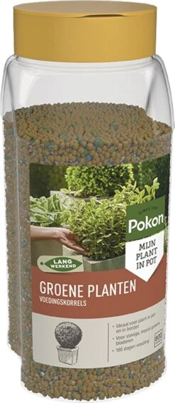 Pokon Voedingskorrels Voor Groene Planten - 800gr - 180 Dagen Voeding - Plantenvoeding -Tuinen Speciaal Winkel 524x1200 2