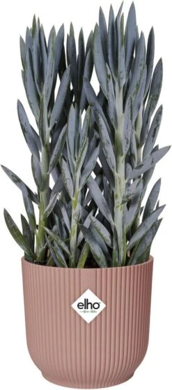 Elho Vibes Fold Rond Wielen 35 - Bloempot Voor Binnen - Ø 34.9 X H 32.4 Cm - Delicaat Roze -Tuinen Speciaal Winkel 531x1200 1