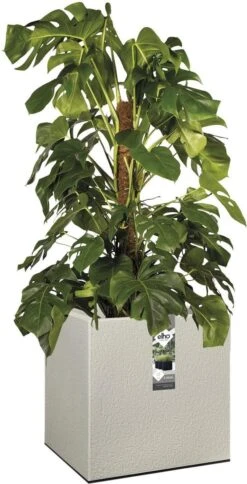 Elho Vivo Structure Finish Vierkant 40 - Plantenbak Voor Binnen & Buiten - Ø 39 X H 41 - Grijs/Warm Grijs -Tuinen Speciaal Winkel 613x1200 2