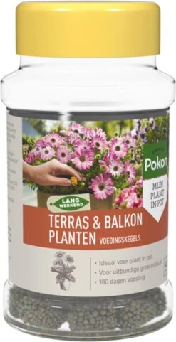 Pokon Voedingskegels Voor Terras- & Balkonplanten - 40 Stuks - 180 Dagen Voeding - Plantenvoeding -Tuinen Speciaal Winkel 616x1200 1