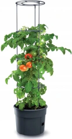 TOMATENPOT VOOR HET KWEKEN VAN TOMATEN PROSPERPLAST 28L -Tuinen Speciaal Winkel 621x1200