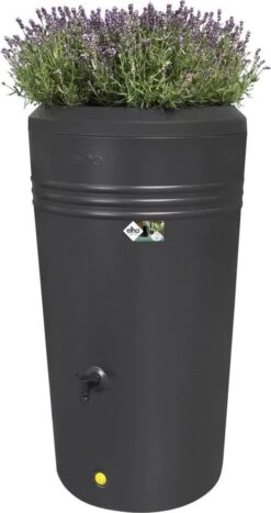 Elho Green Basics Regenton - Regenton - Living Black - Buiten - 200 Liter -Tuinen Speciaal Winkel 635x1200