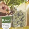 Pokon Kamerplanten Voedingskegels - 2x10st - Plantenvoeding - 6 Maanden Voeding -Tuinen Speciaal Winkel 699x1200 5