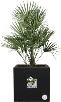 Elho Vivo Next Vierkant 40 - Plantenbak Voor Binnen & Buiten - Ø 39.0 X H 37.9 Cm - Zwart/Living Black -Tuinen Speciaal Winkel 720x1200 2