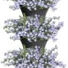 Elho Corsica Vertical Forest 24 - Bloempot Voor Balkonbuiten - Ø 26.7 X H 29.7 Cm - Zwart/Antraciet