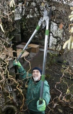 Telescopische Takkenschaar, 6-voudig -Tuinen Speciaal Winkel 775x1200 1