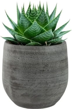 Pot Esra Mystic Grey Bloempot Binnen 15 Cm 8 Pot Esra Mystic Grey Bloempot Binnen 15 Cm -Tuinen Speciaal Winkel 789x1200 1