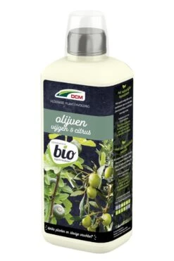Dcm Meststof Vloeibaar Olijven & Vijgen - Siertuinmeststoffen - 800 Ml Bio -Tuinen Speciaal Winkel 799x1200 121