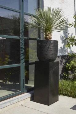 Capi Europe - Bloempot Bol Rib NL - 54x52 - Zwart - Voor Binnen En Buiten - KBLR935 18 Capi Europe - Bloempot Bol Rib NL - 54x52 - Zwart - Voor Binnen En Buiten - KBLR935 -Tuinen Speciaal Winkel 799x1200 35