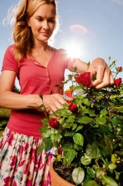 WOLF-Garten Snoeischaar "Premium Plus" RR 4000 - Max. Knipdiameter 22 Mm - Links- En Rechtshandige - Softinleg Handgreep - Snijhoek 30° - Voor Grote Handen - Vervangbare Messen -Tuinen Speciaal Winkel 799x1200 74