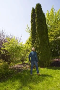 GARDENA TeleCut Heggenschaar - Telescopische Handgrepen Van 70-90 Cm -Tuinen Speciaal Winkel 799x1200 93