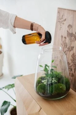 24DOTS Living Plantenspuit | 500 Ml Bruin Amber Glas | Plantensproeier | Plantenspuit Binnen | Waterverstuiver | Vernevelaar -Tuinen Speciaal Winkel 800x1200 1