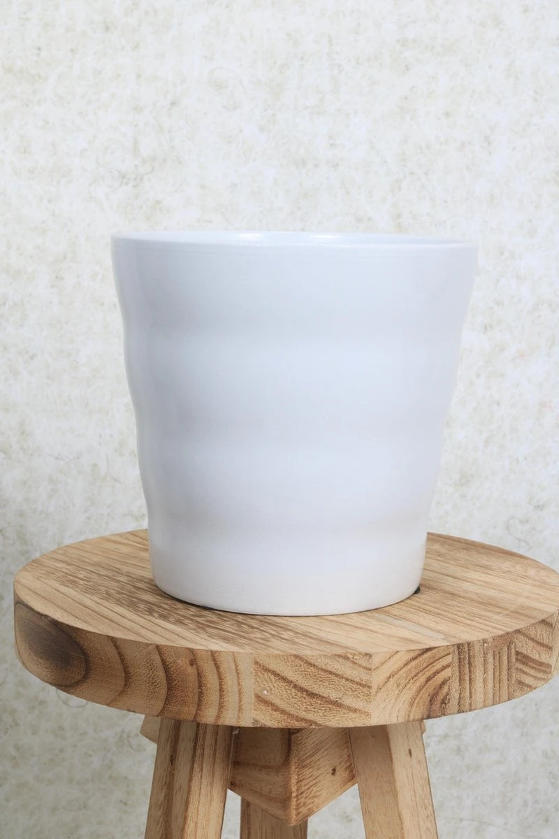 WL Plants - Bloempot Binnen - Set Van 4 - Dawn Ø12 Wit - Luxe Bloempotten Voor Binnen - Bloempotten Voor Buiten - Bloembak & Plantenpot - Hoogte 12,5 Cm - Keramisch Met Hoogwaardige Afwerking 4 WL Plants - Bloempot Binnen - Set Van 4 - Dawn Ø12 Wit - Luxe Bloempotten Voor Binnen - Bloempotten Voor Buiten - Bloembak & Plantenpot - Hoogte 12,5 Cm - Keramisch Met Hoogwaardige Afwerking - Afbeelding 2