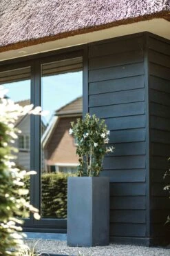 Capi Europe - Bloempot Rechthoek Smooth NL - 36x36x79 - Zwart - Voor Binnen En Buiten - KBL952 -Tuinen Speciaal Winkel 800x1200 110