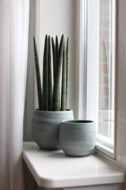 Tokio Bloempot Blauw Aqua D28 X H26 Cm - Nieuwe Collectie -Tuinen Speciaal Winkel 800x1200 112