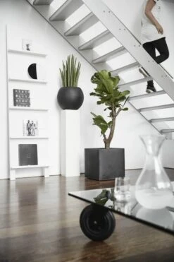 Capi Europe - Bloempot Vierkant Smooth NL - 40x40x40 - Zwart - Voor Binnen En Buiten - KBL903 -Tuinen Speciaal Winkel 800x1200 114